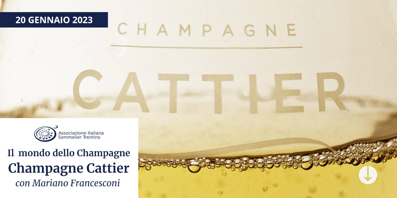 Il mondo dello Champagne | Champagne Cattier